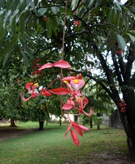 DSC01140a
